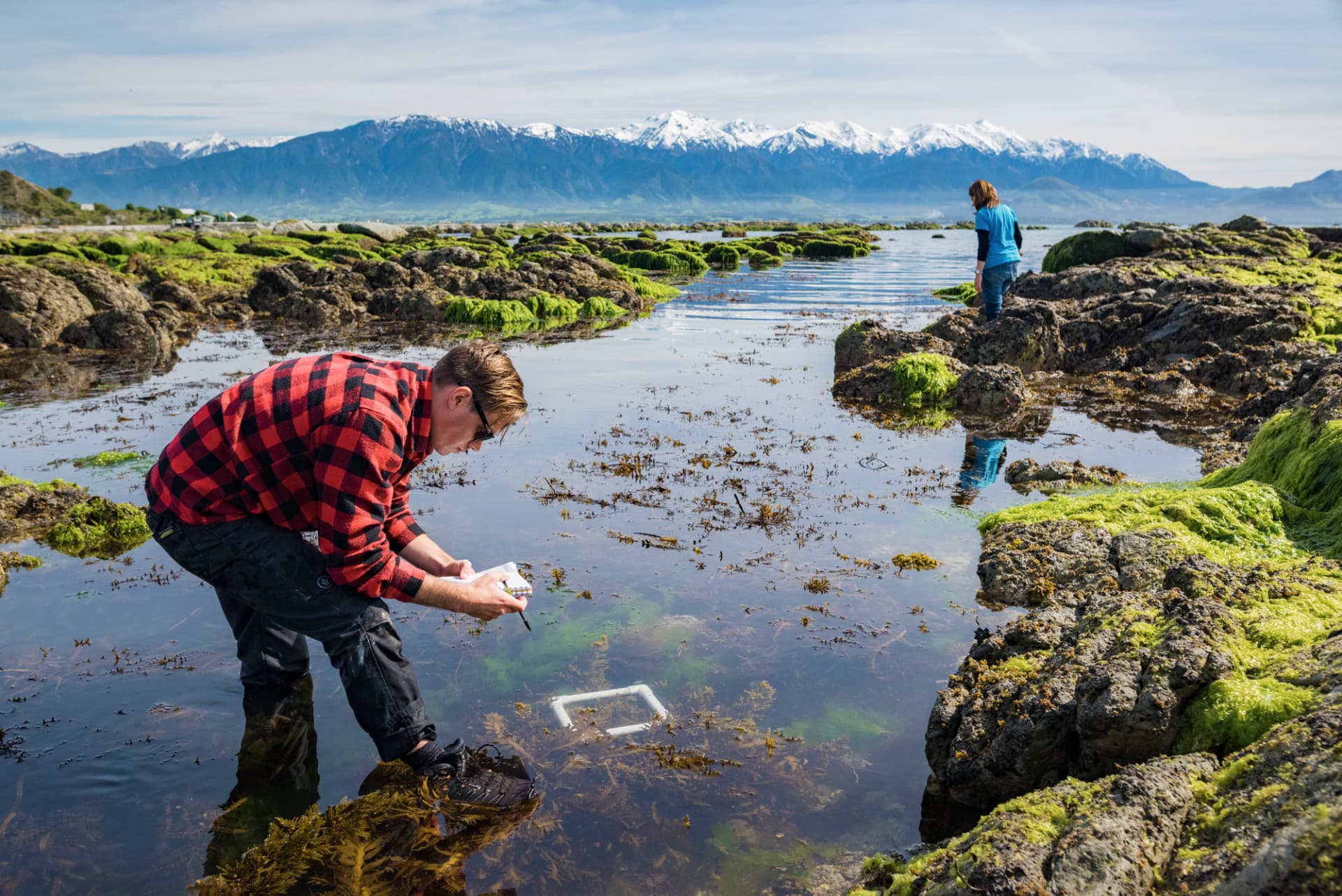 Defining rocky reef tipping points associated with the Kaikōura earthquake