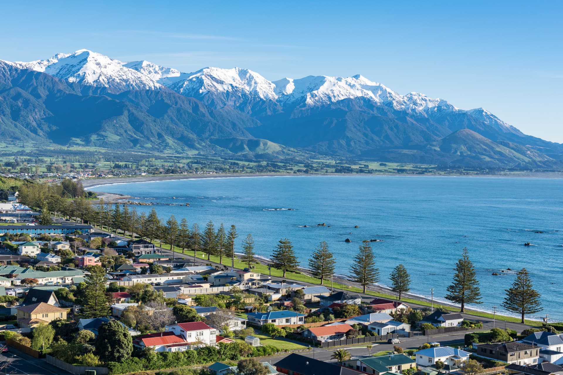 New blue economy in Kaikōura: a participatory process approach