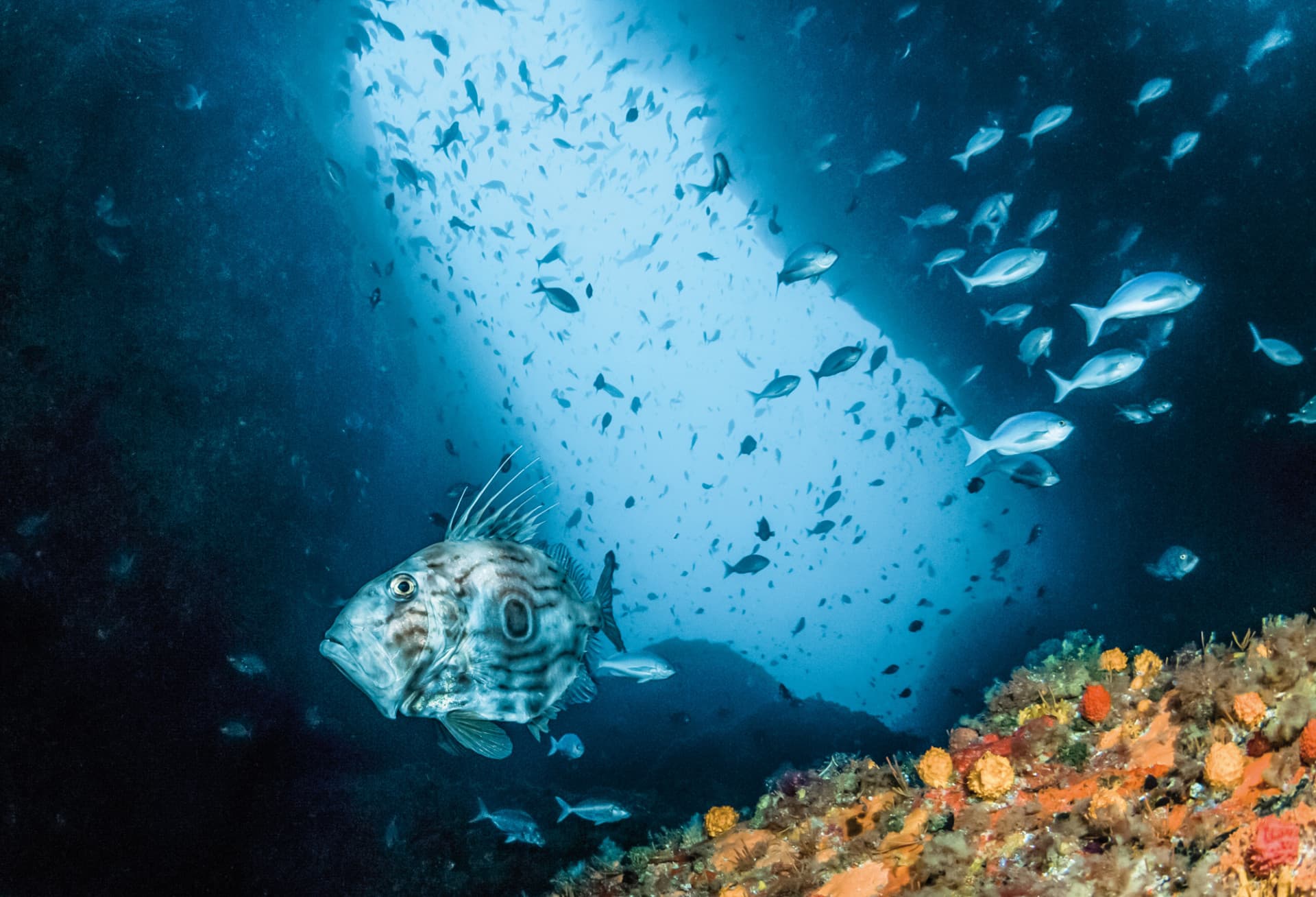 Spatially-explicit decision support tools