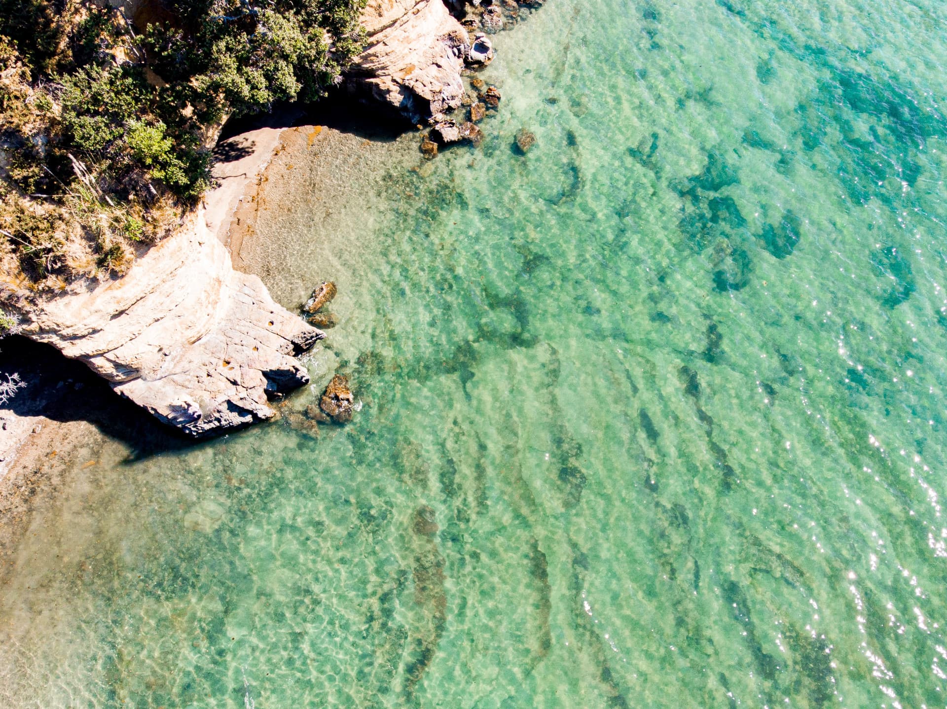 Financing restorative marine economies: Insights from NZ finance and investment experts