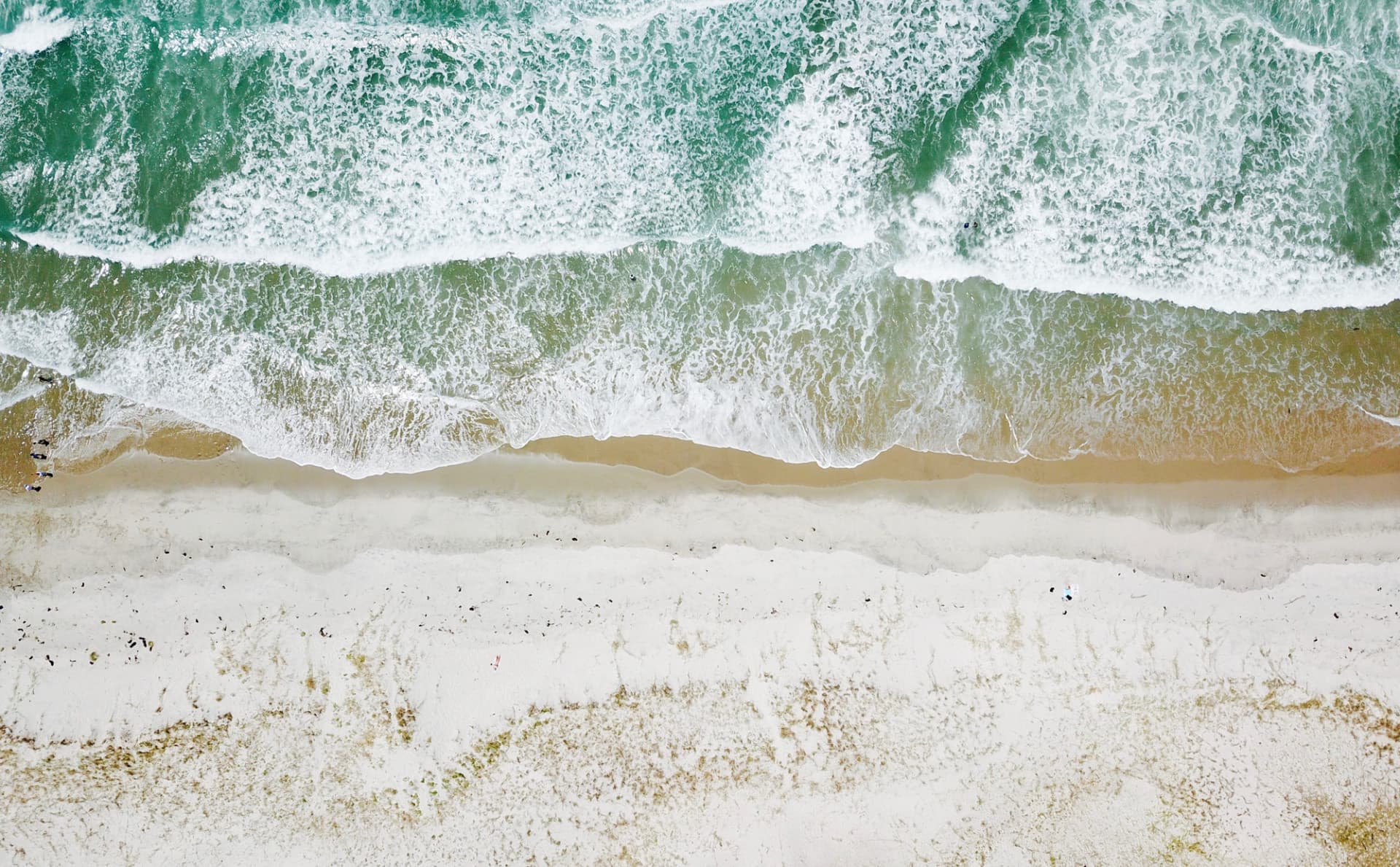 Improved decision-making using an ecosystem-based management (EBM) approach