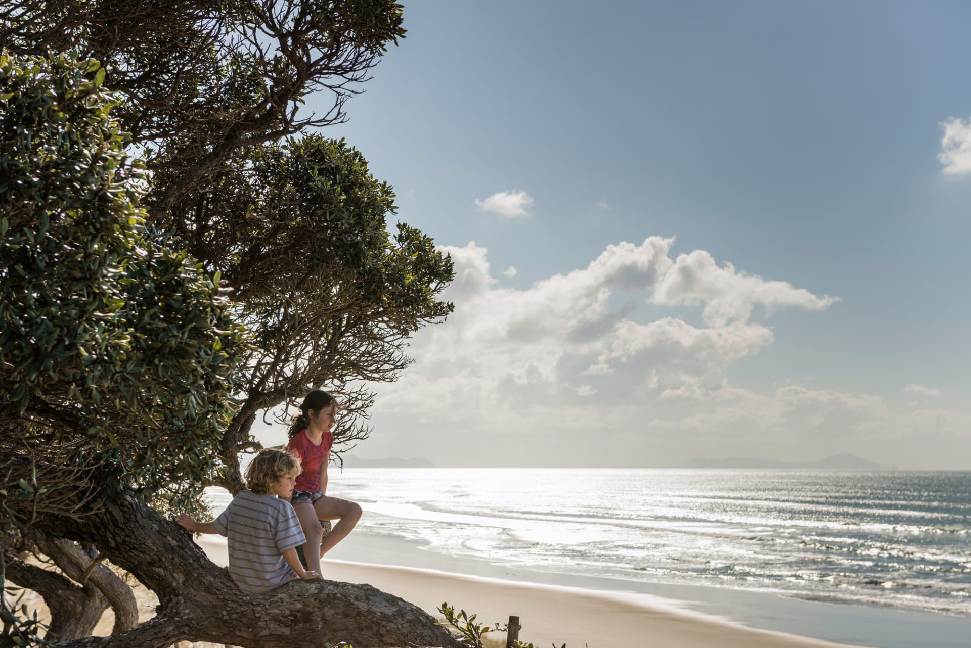 Kids on tree at beach