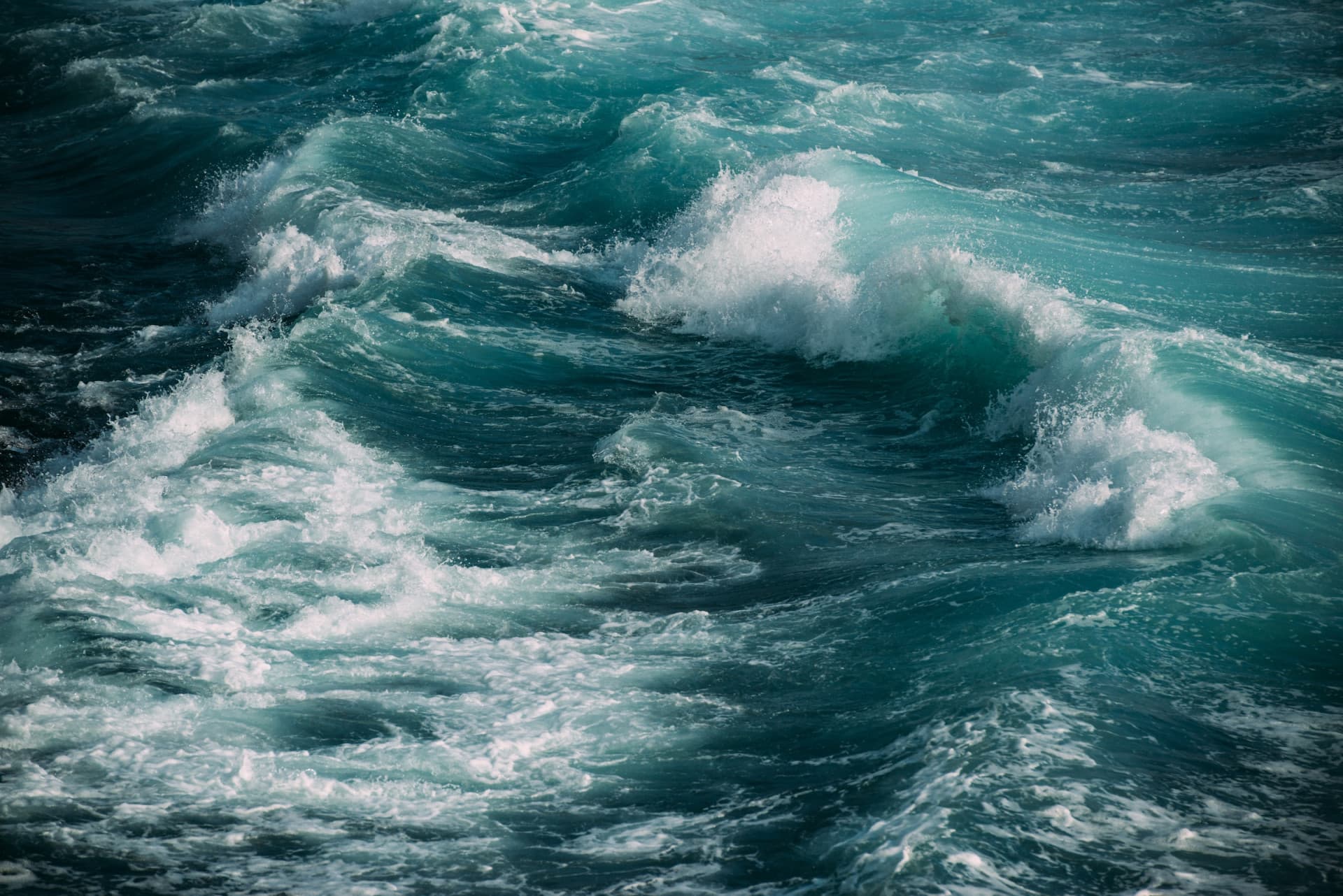 Webinar: Navigating choppy waters - understanding perceptions of risk and uncertainty in marine management