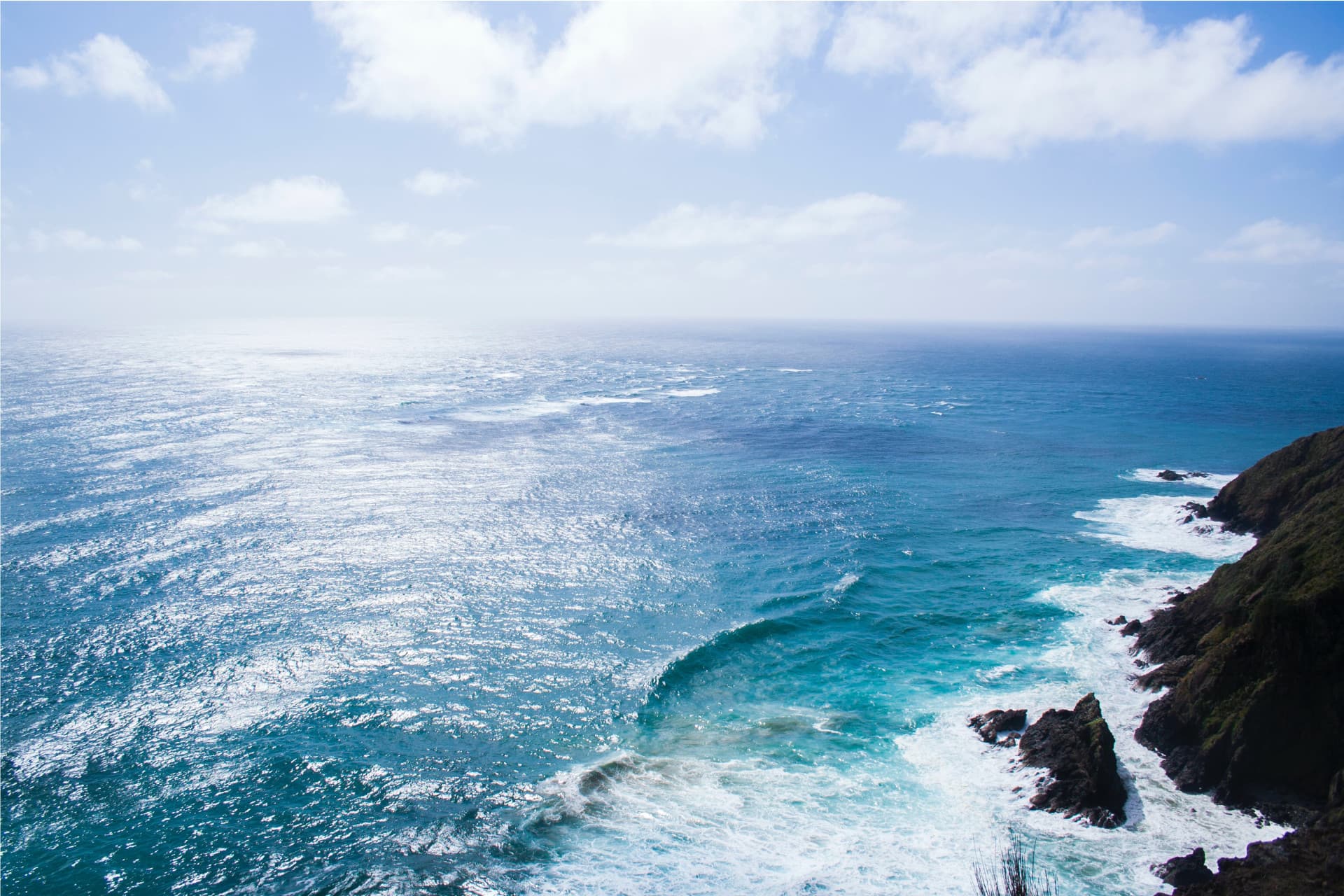 Webinar: Law and policy for marine ecosystems in Aotearoa New Zealand - where to from here?