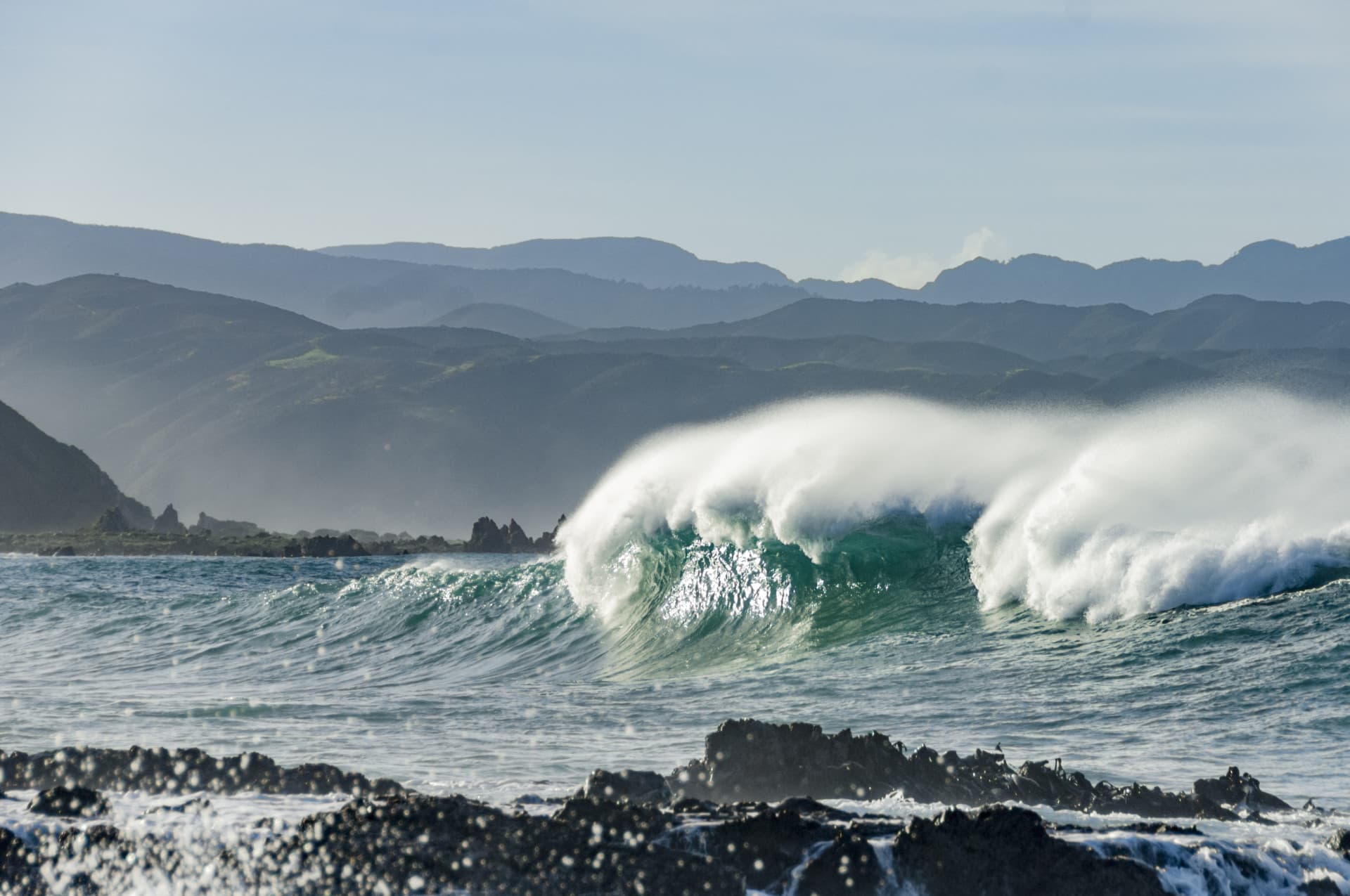 wave DSC 0224 credit dave allen NIWA